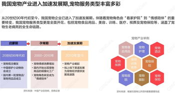 3.6億銷售額！寵物用品雙11整月戰報解讀，日用品消費展現強勁增長